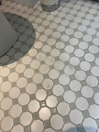 Nasty bathroom floor. I have more pictures, but you get the idea