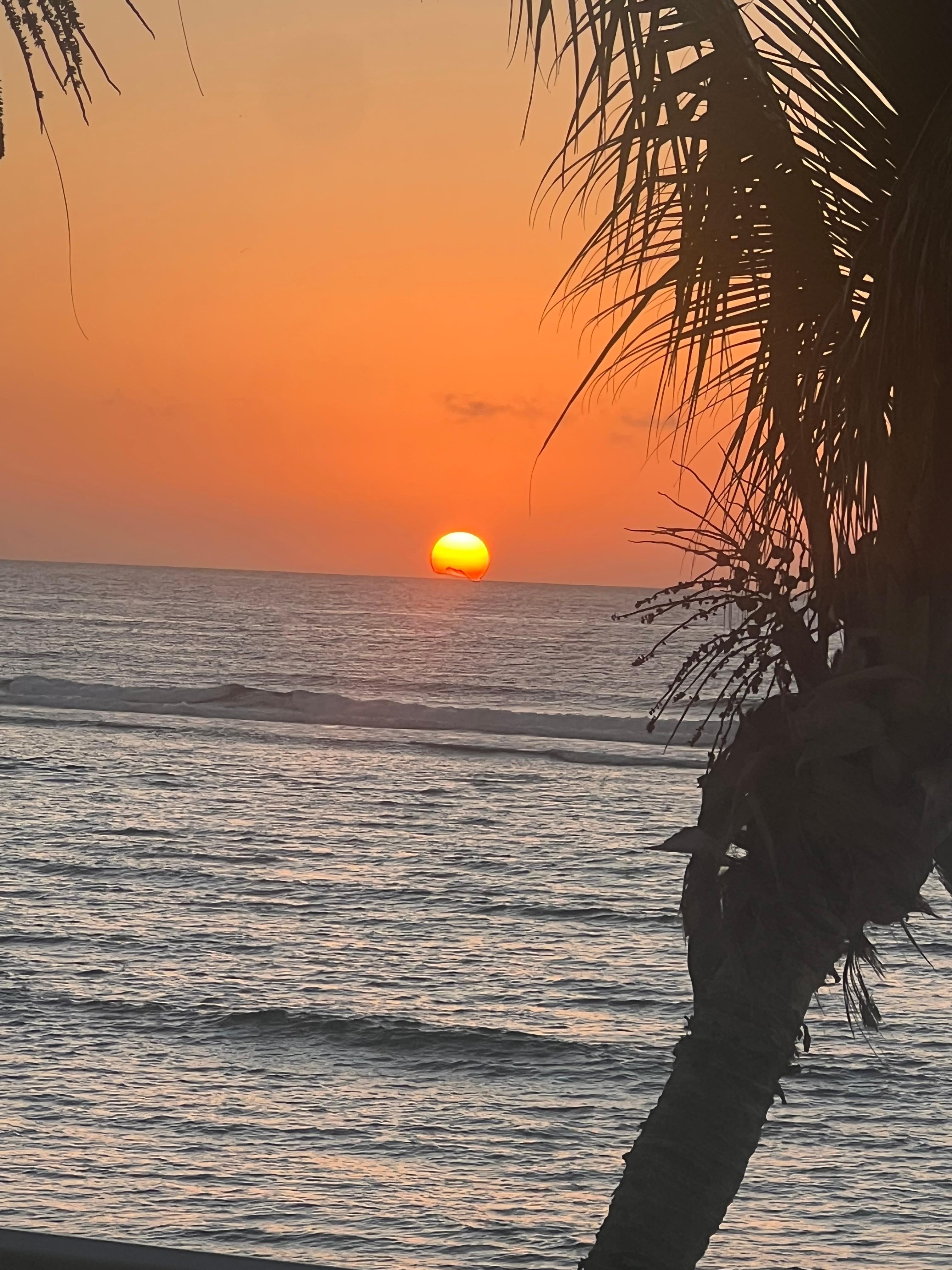 Sunrise from the patio