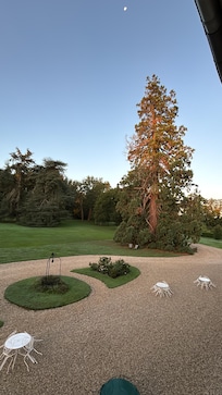 Schlosspark