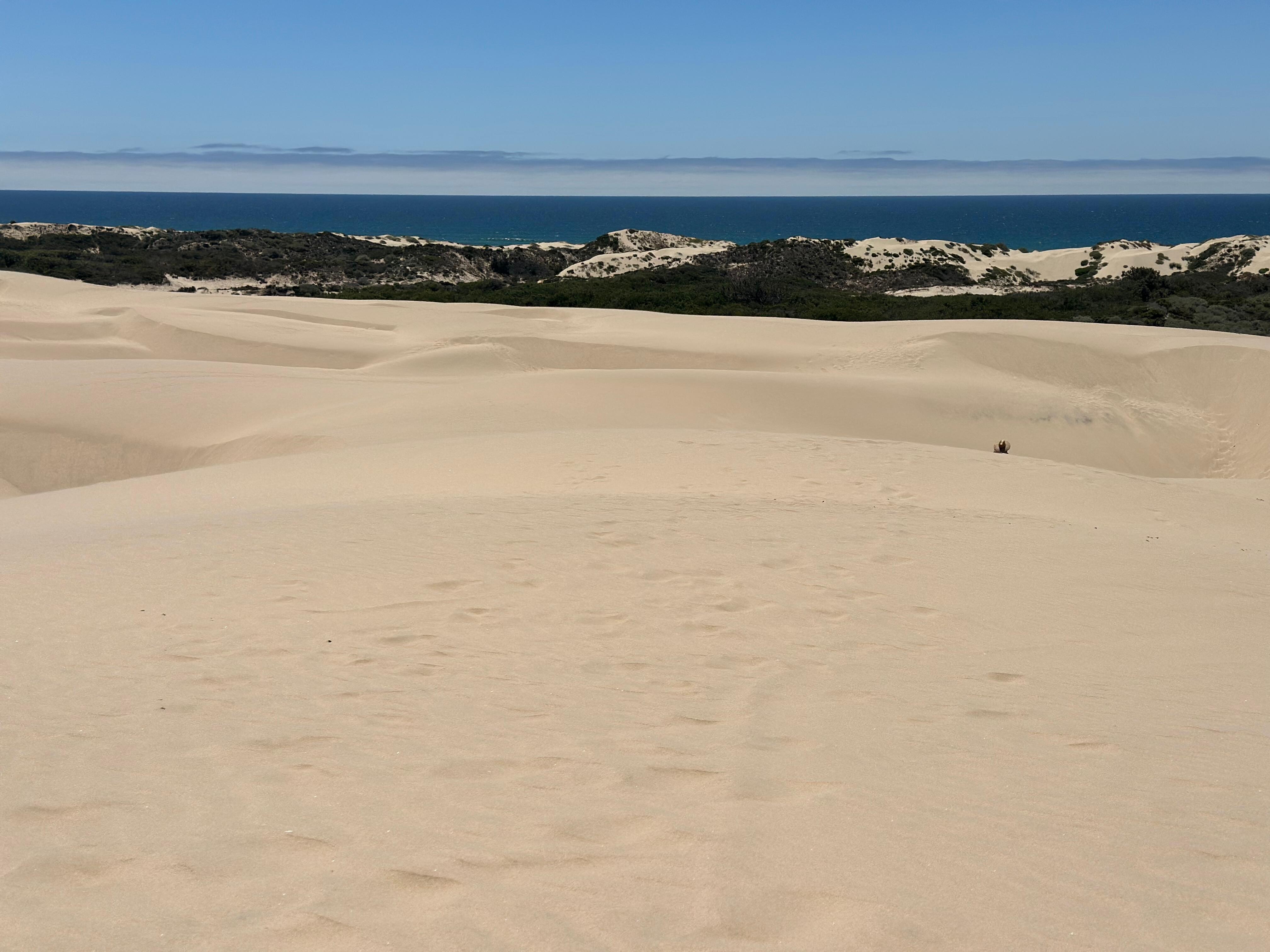 Dunes 