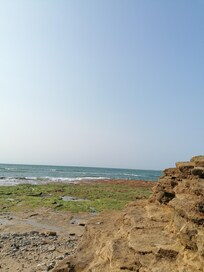 Ebbe