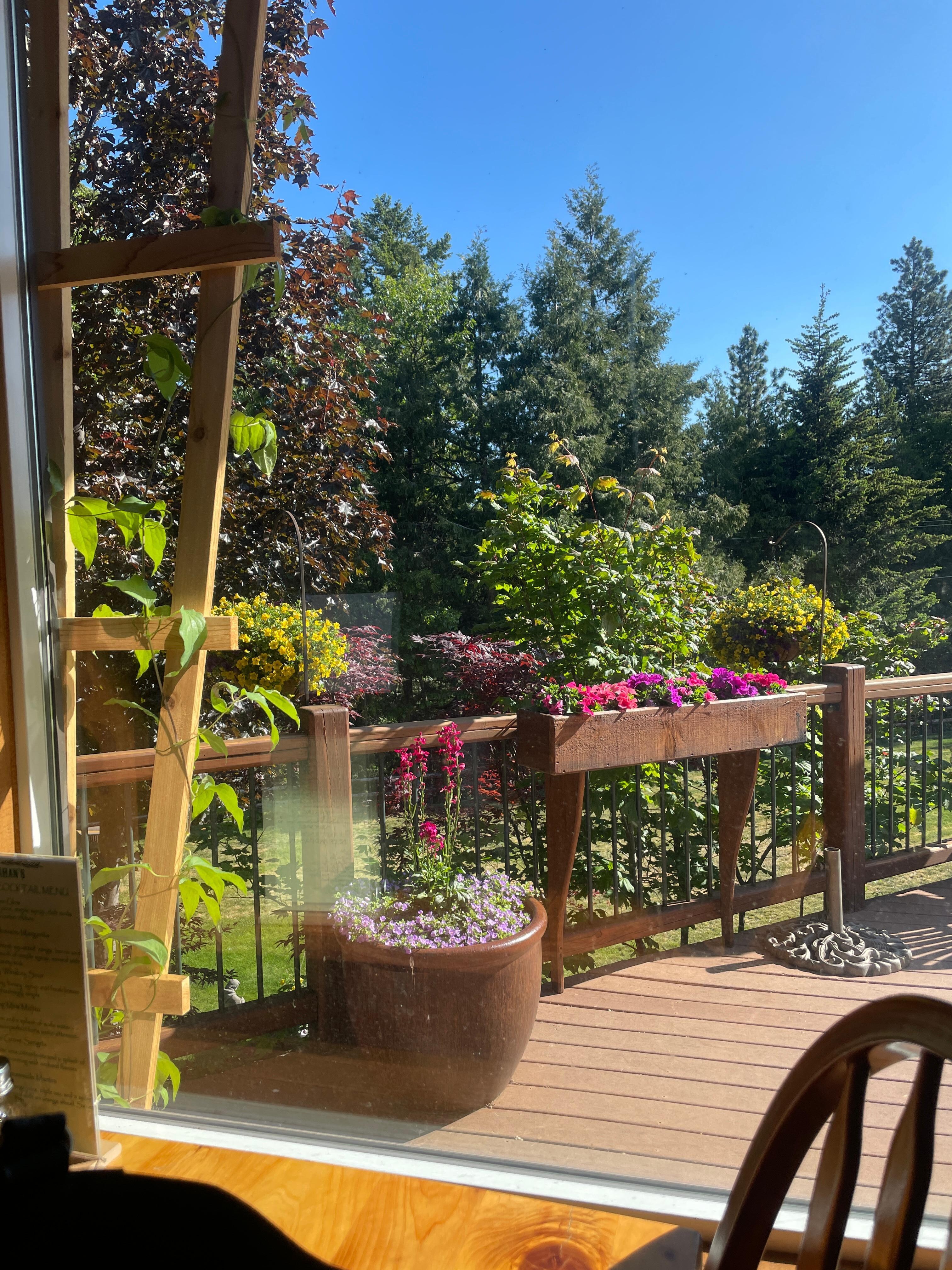 Breakfast view.