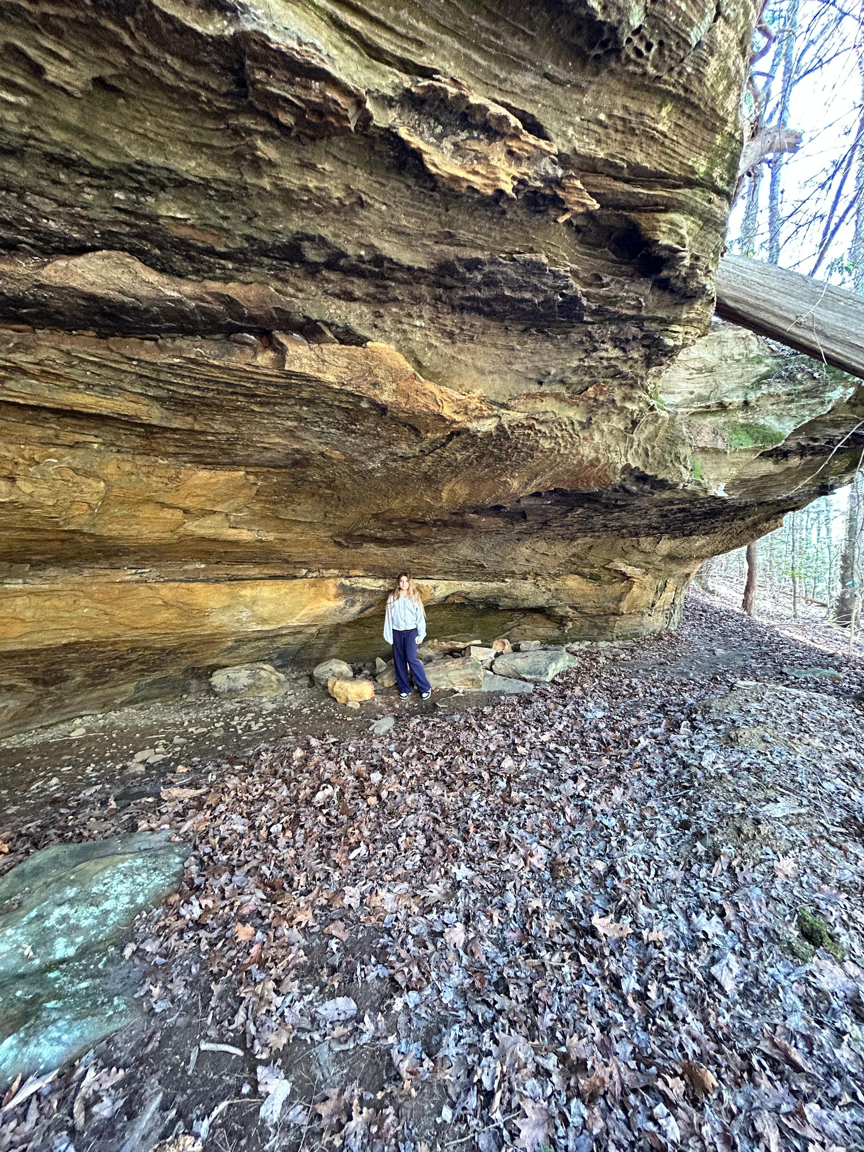 Make sure to venture out behind the cabin and take in the beautiful sights.  