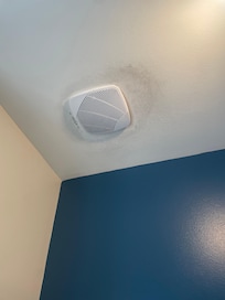 Mold