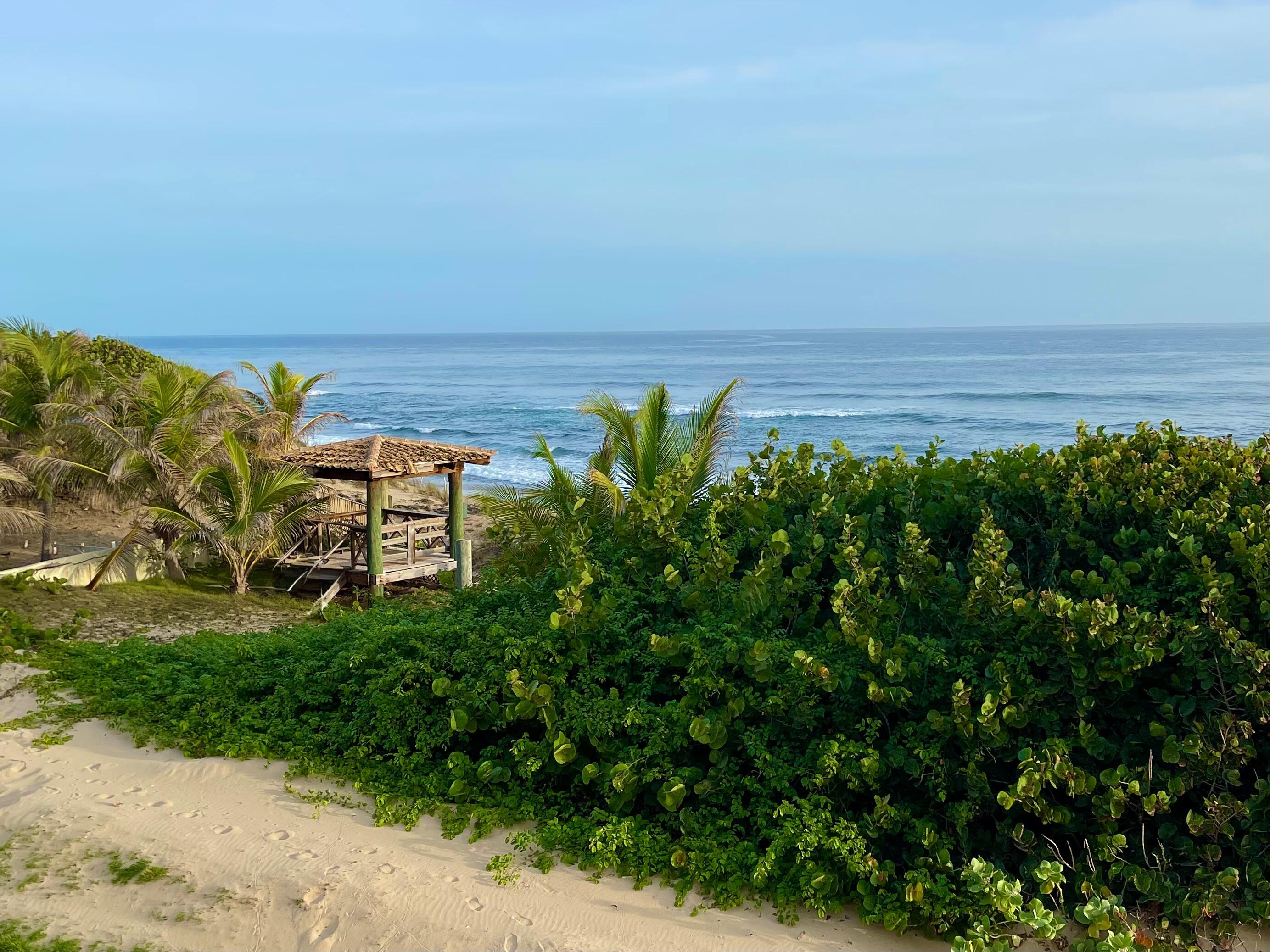 What I woke up to. LOVED!