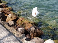 An der Promenade