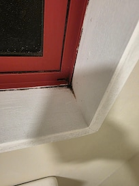 Mold around all the windowsill's