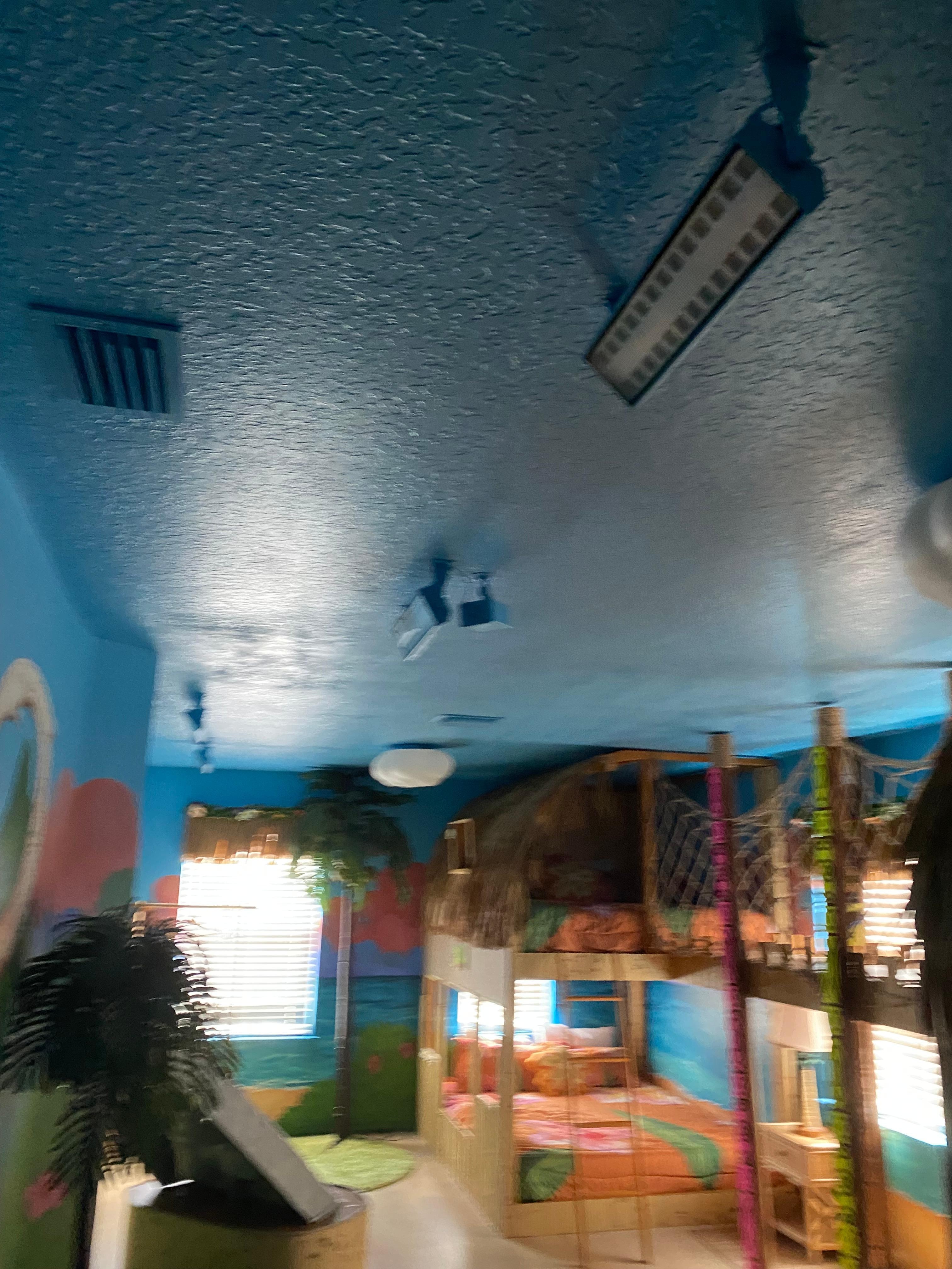 No working blacklights