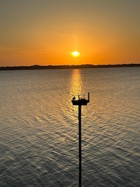 Osprey nest at sunset