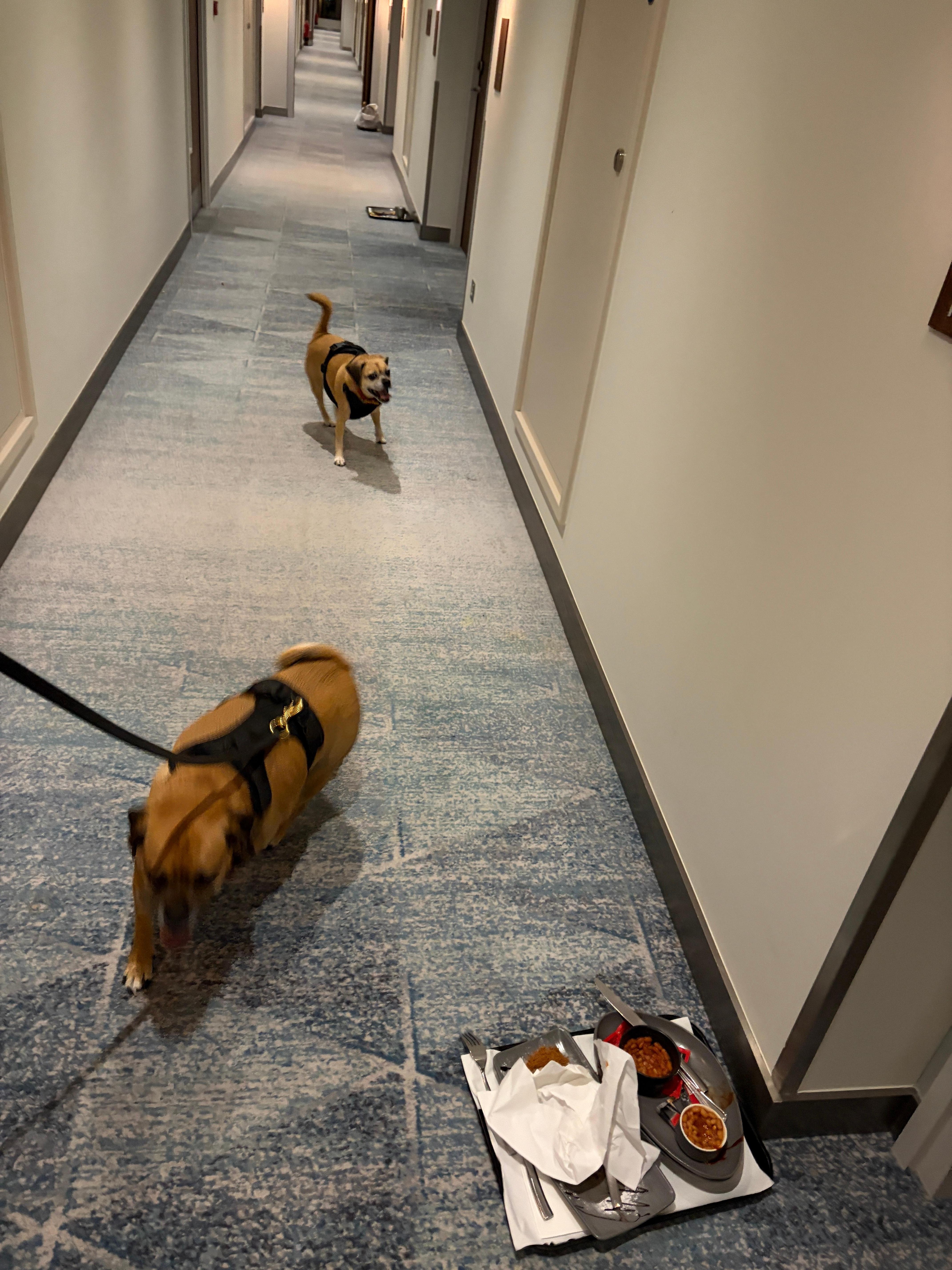 Old food trays and garbage left sitting out in the hallways