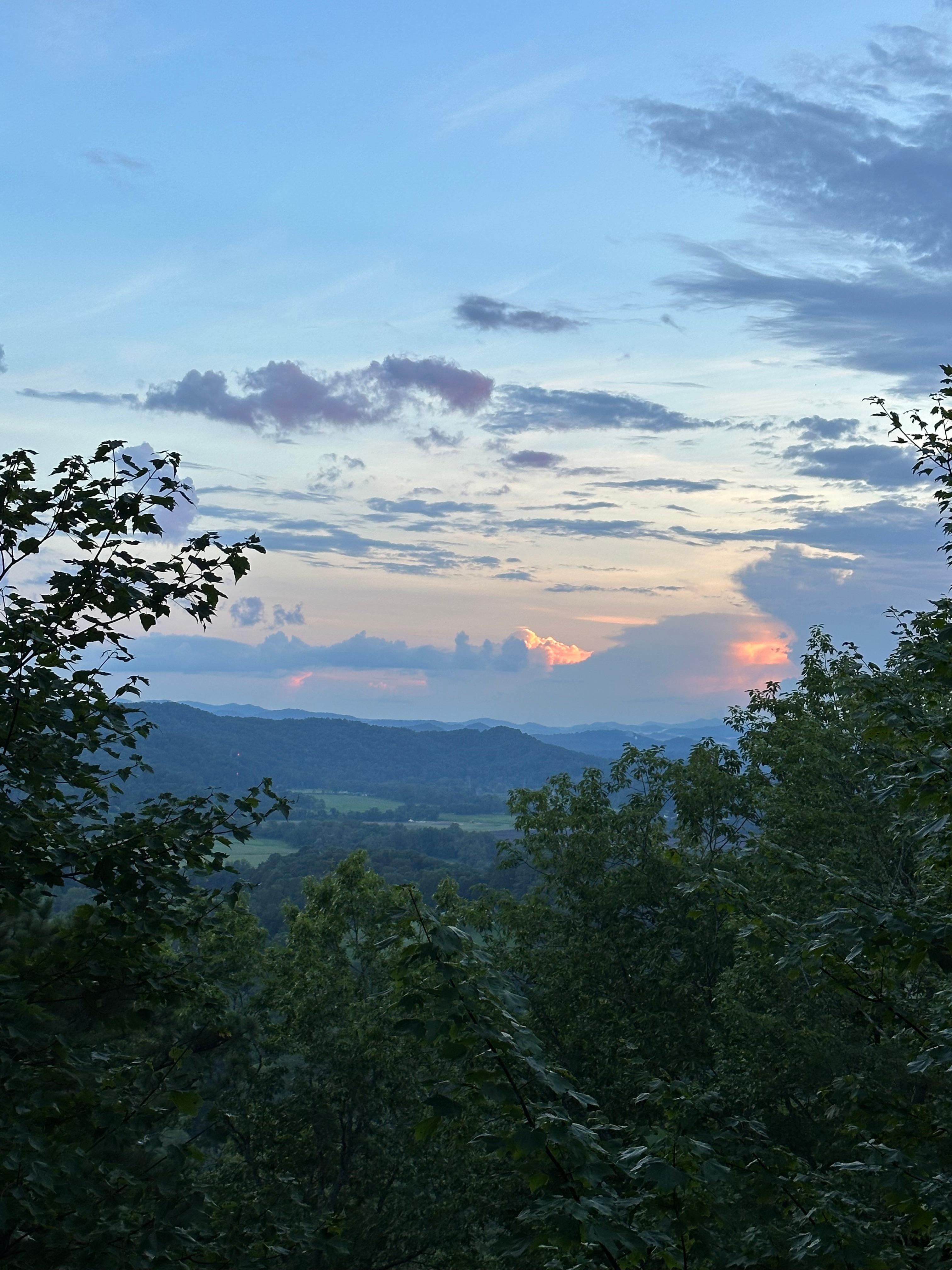 View from back porch.