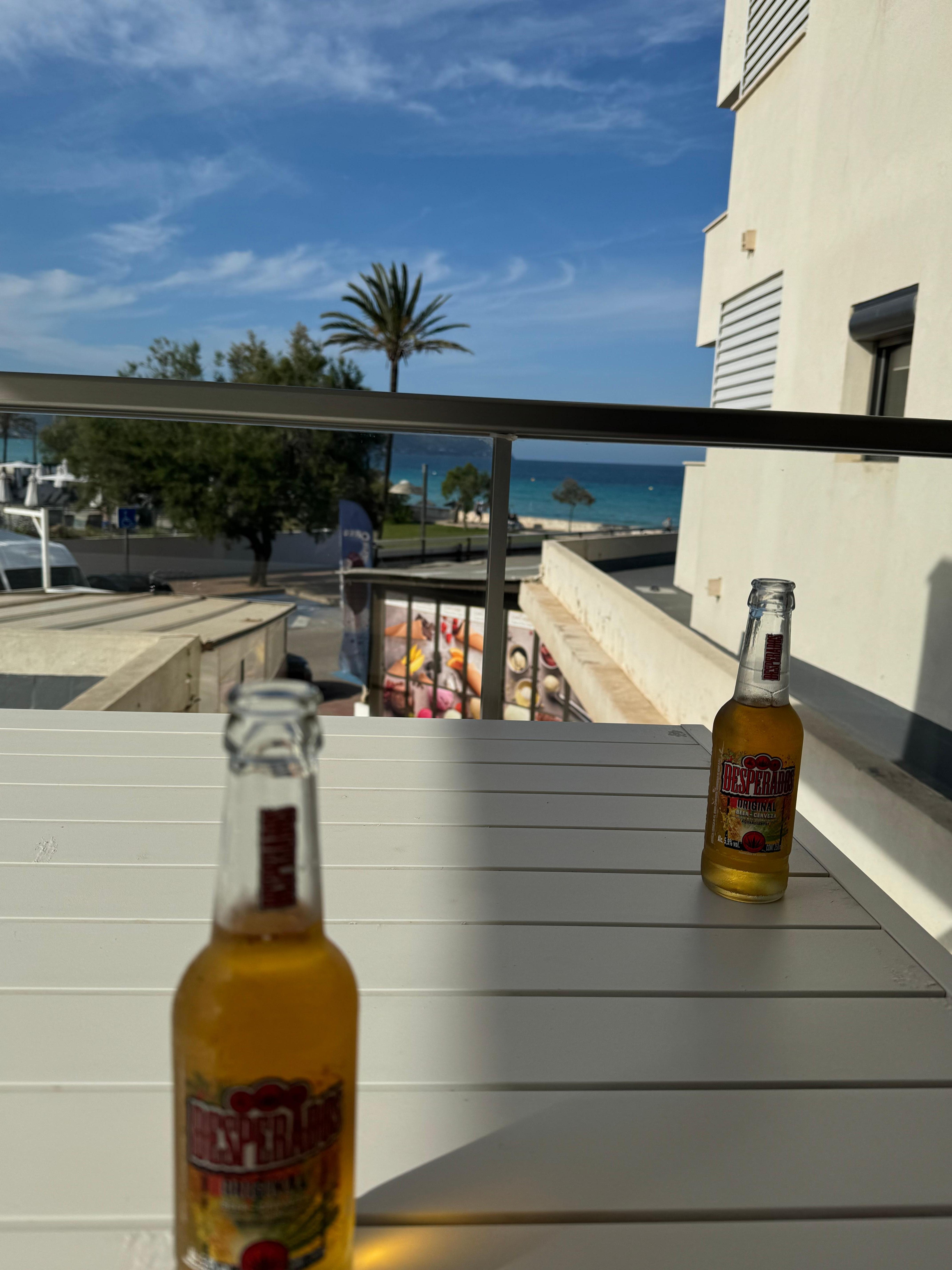 Quelle vue depuis la terrasse de l’appartement !