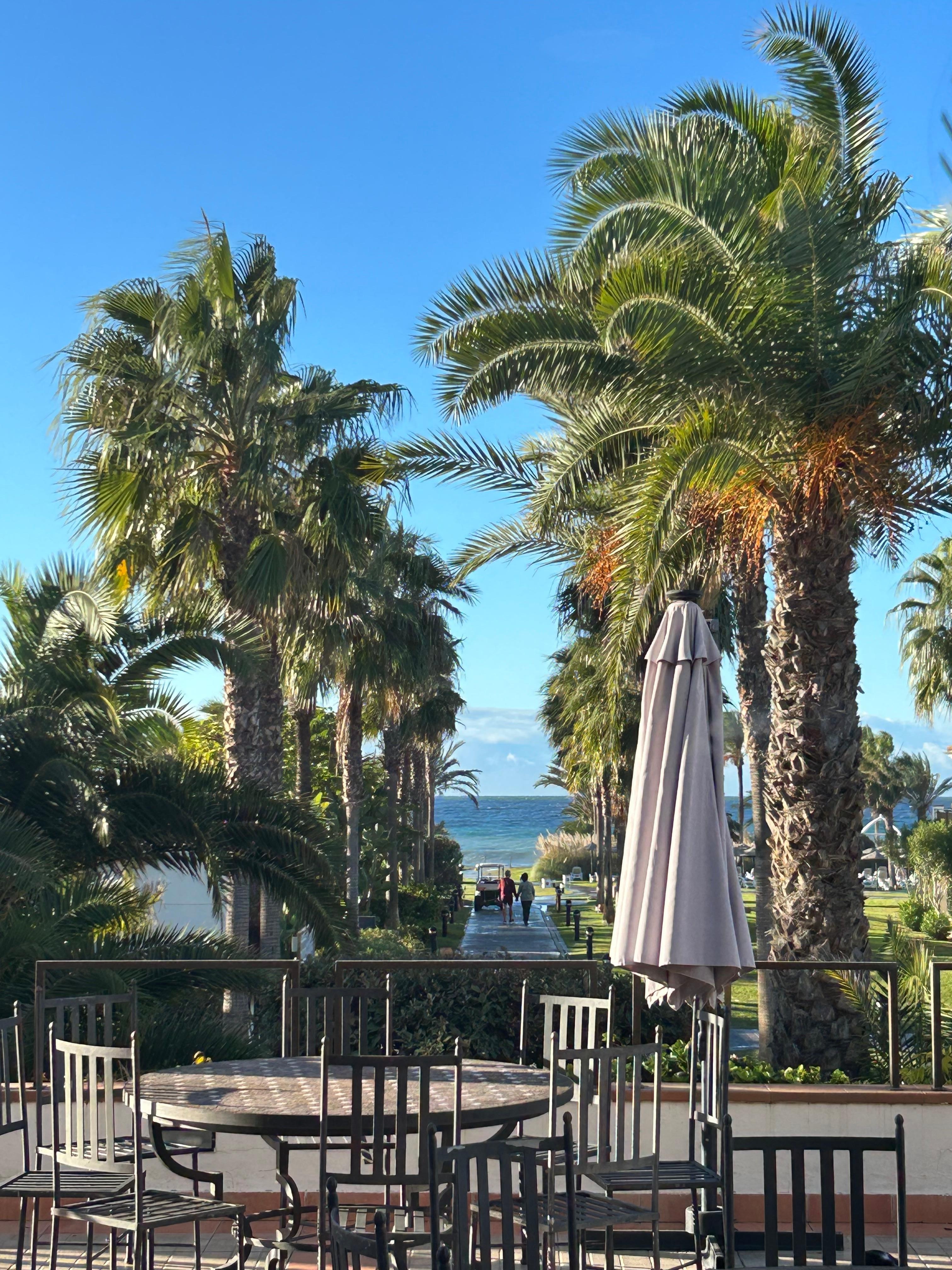 Utsikt fra restaurant-terrassen 