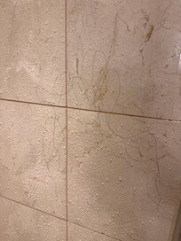 Shower and some hair on the wall, disgusting