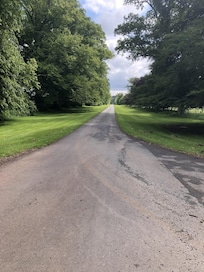 The long drive
