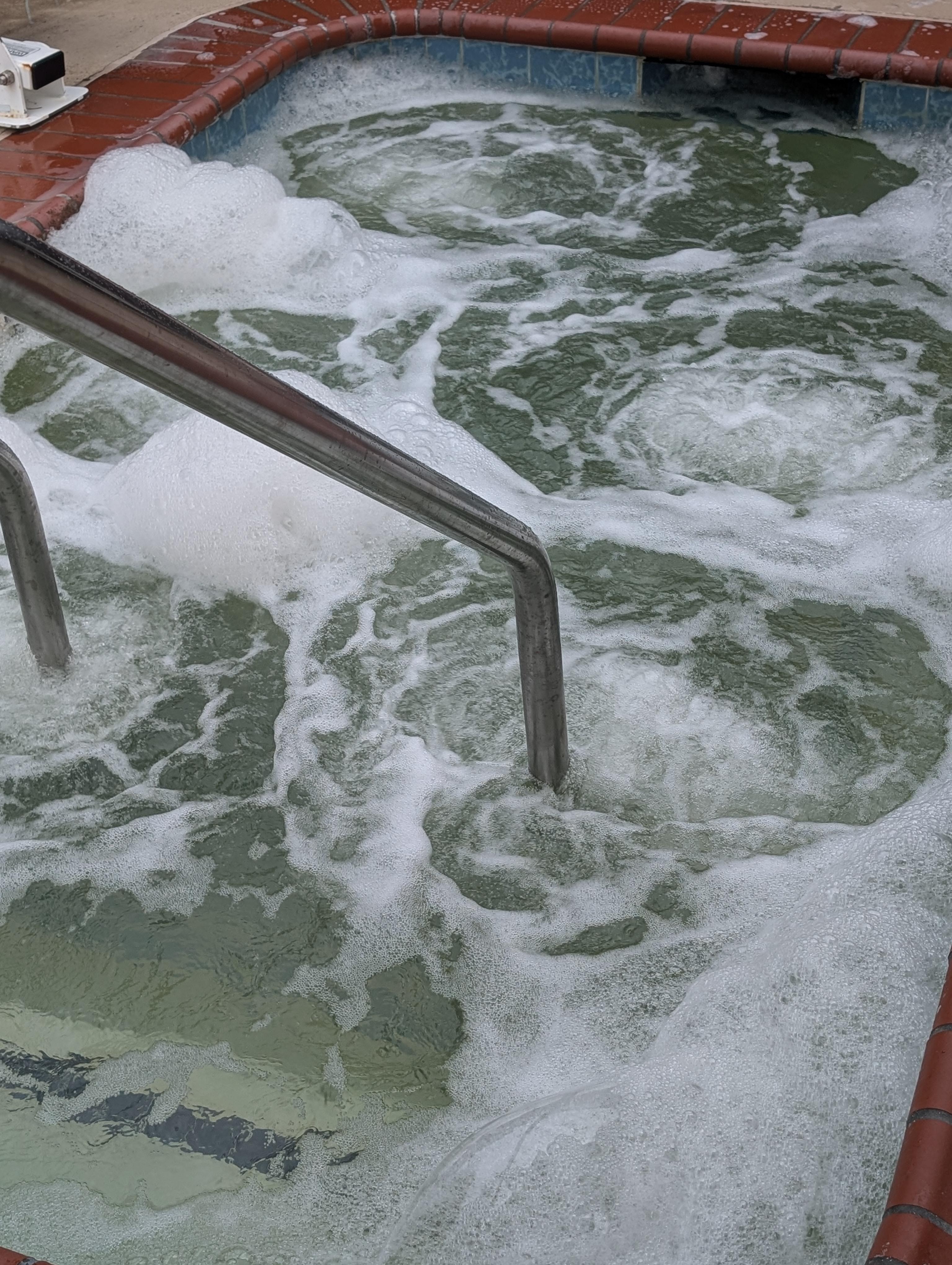 Brown , green , foamy hot tub water.  