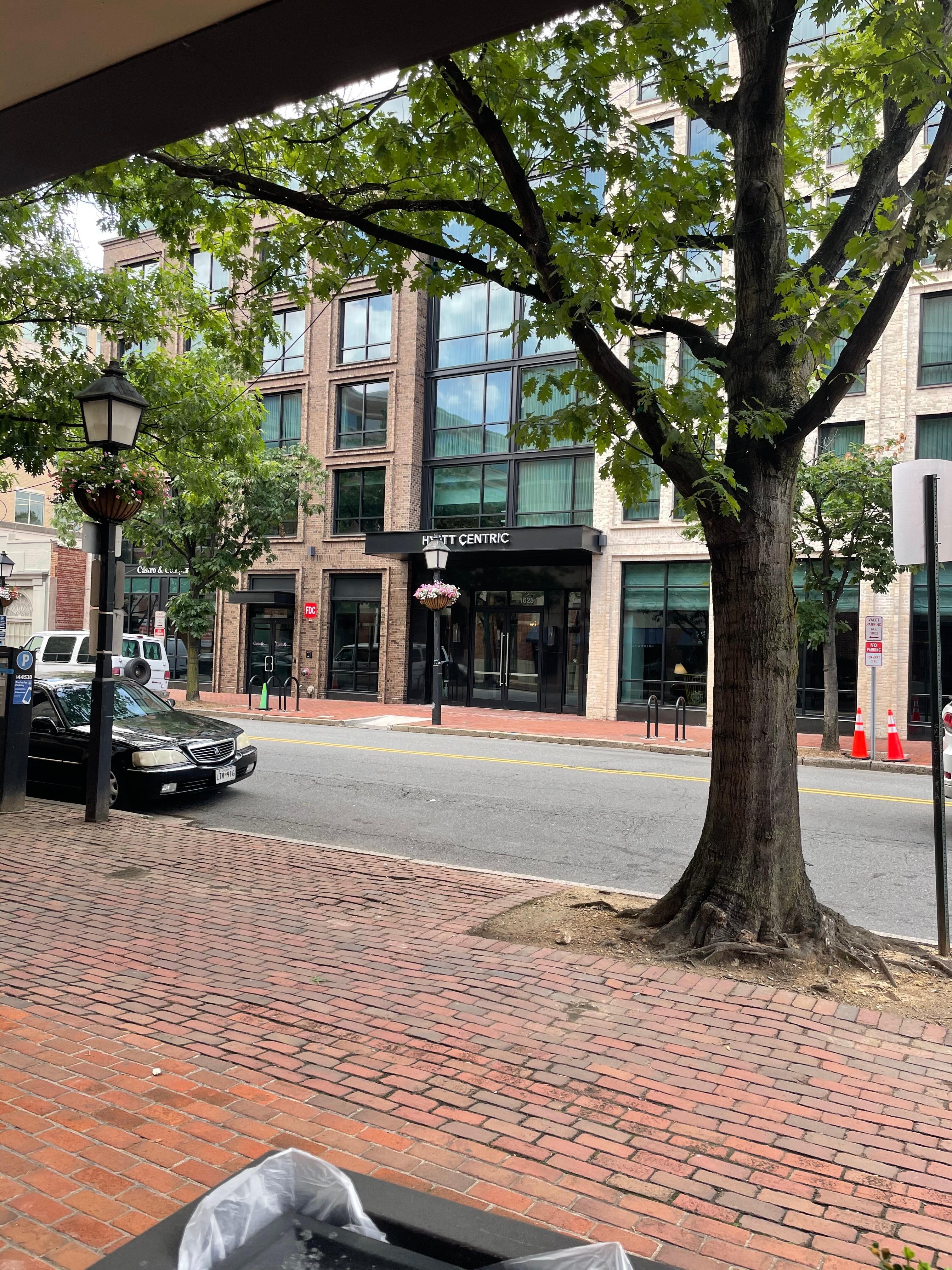 Waiting on Trolley across the street