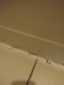 Mold around caulking...bathtub also did not hold water