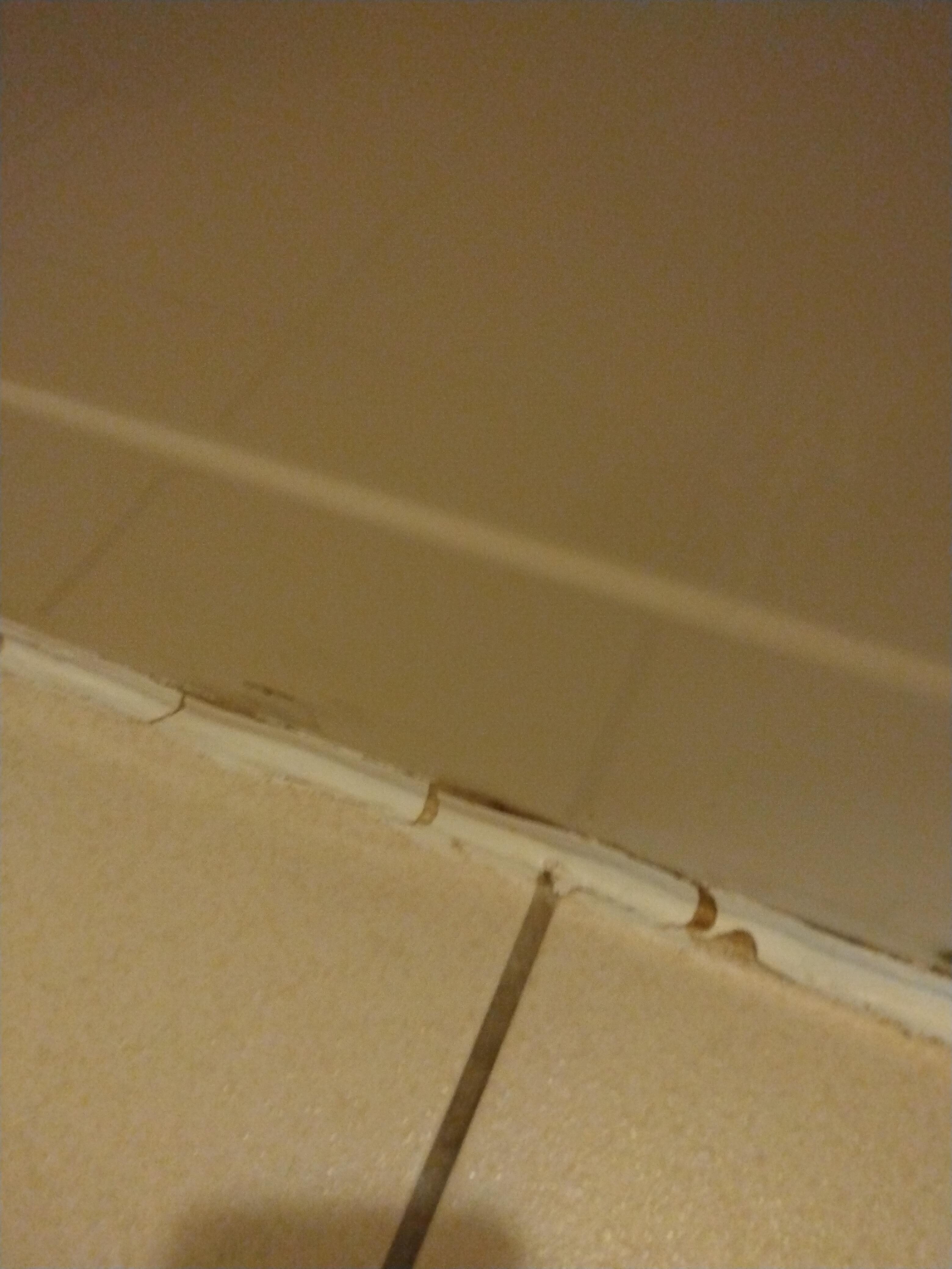 Mold around caulking...bathtub also did not hold water
