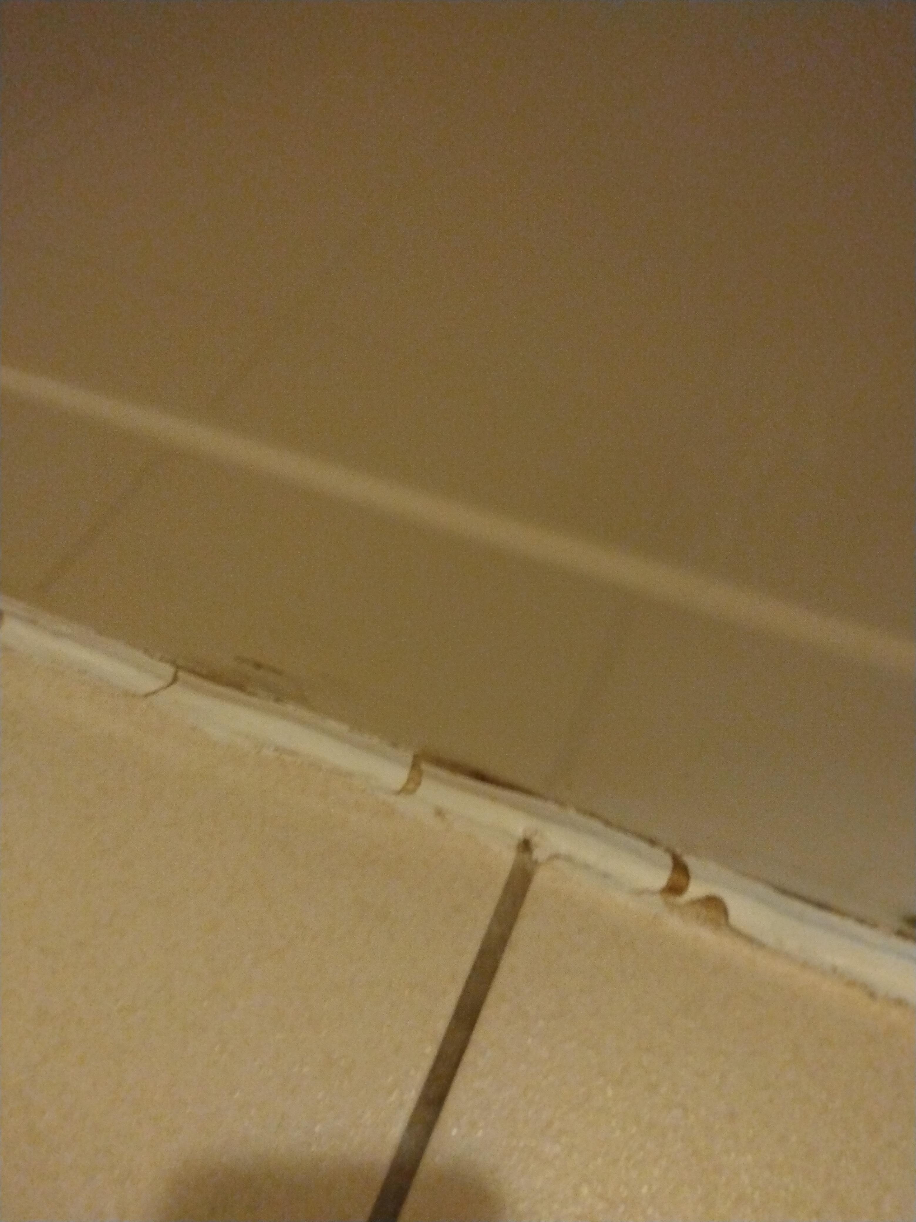 Mold around caulking...bathtub also did not hold water