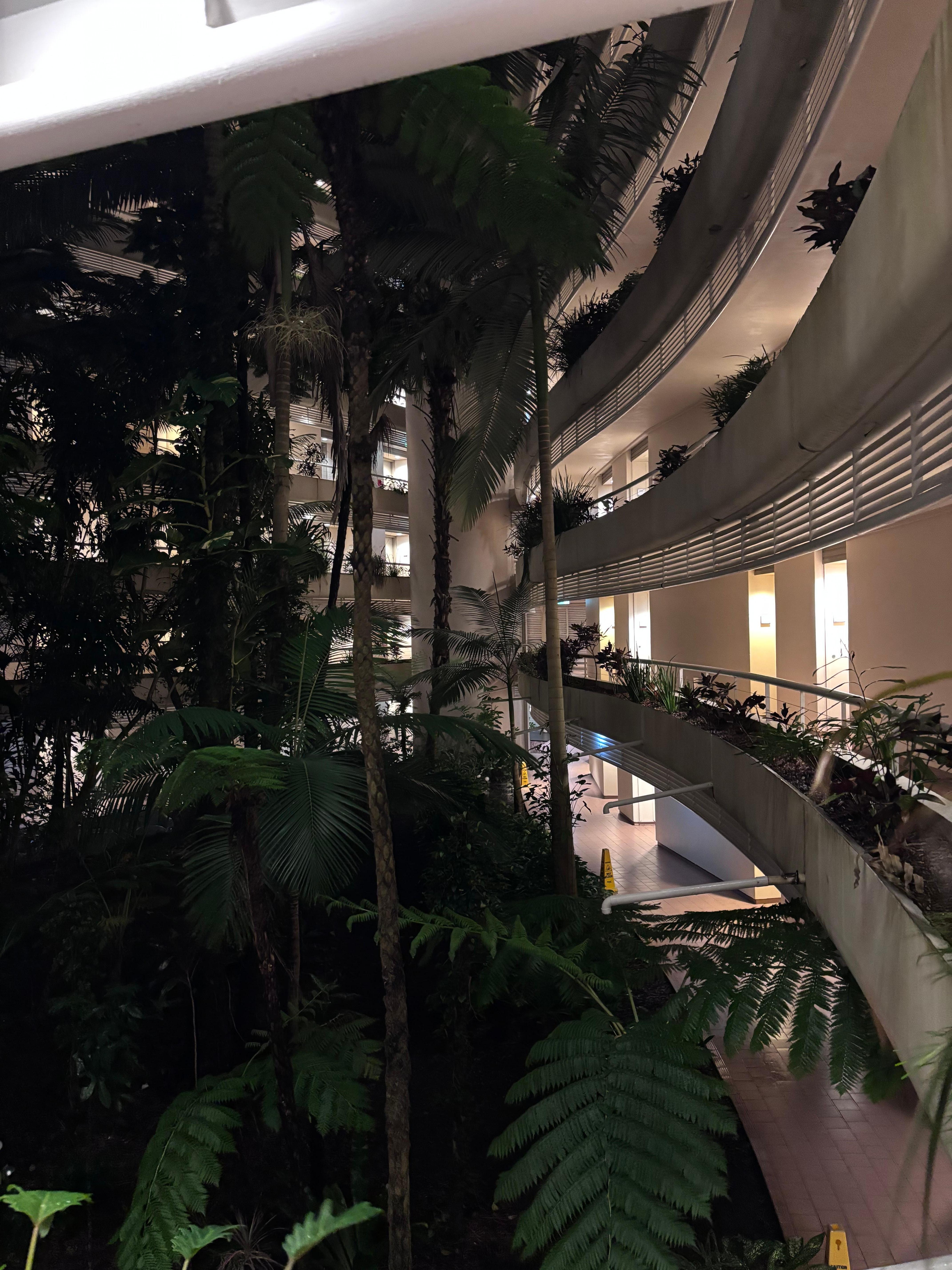 The walk way to the hotel rooms 