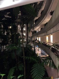 The walk way to the hotel rooms