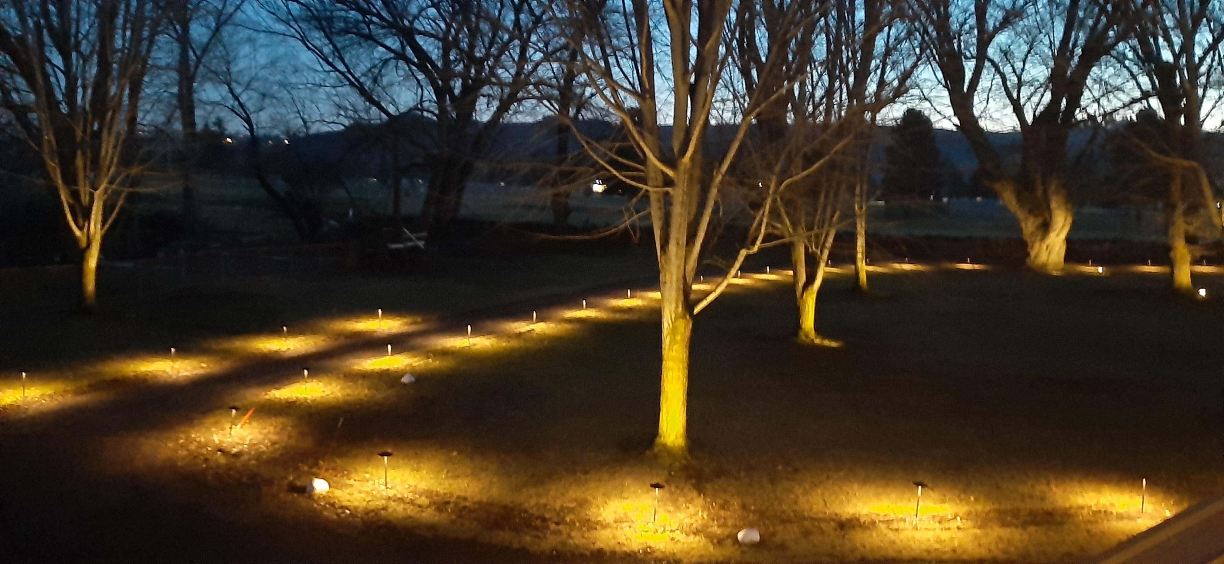 View looking down into the yard