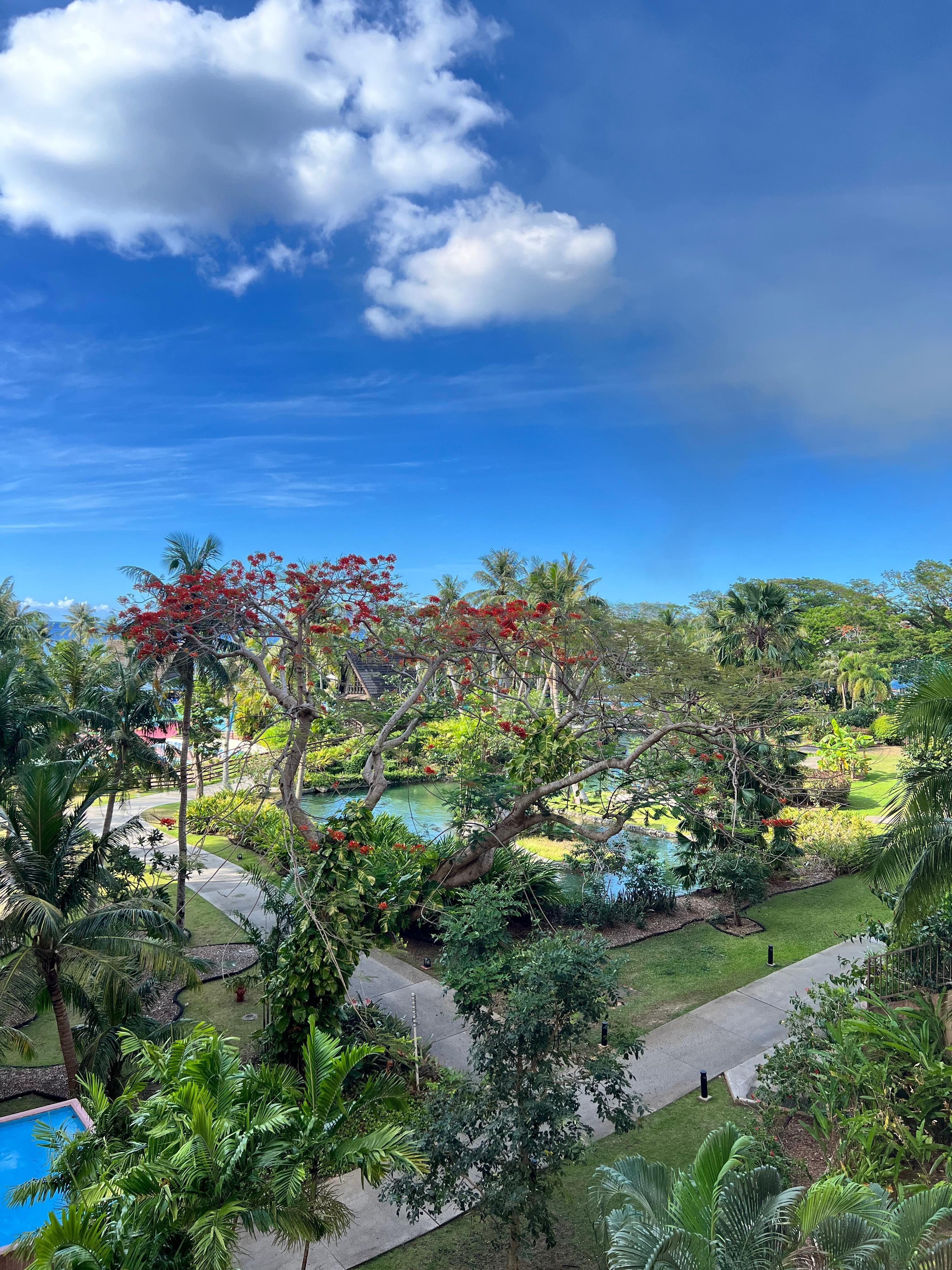 This is the view from our room. 