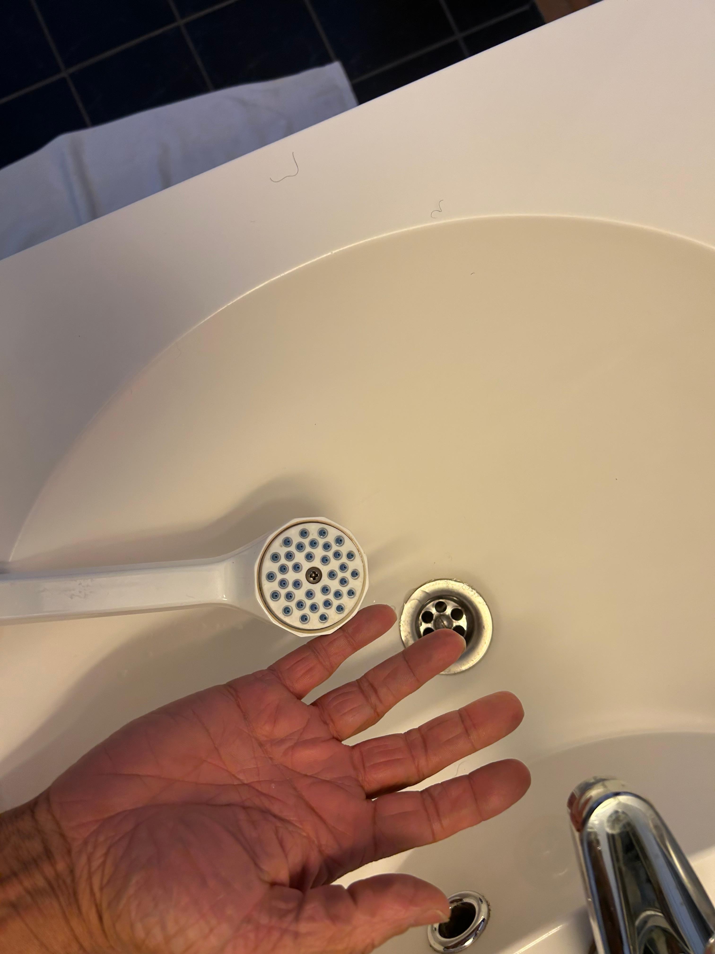 Shower head. 🤦🏽‍♂️