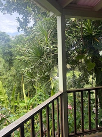 view from porch