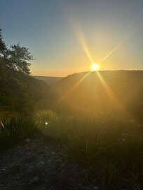 Morning view from indoors