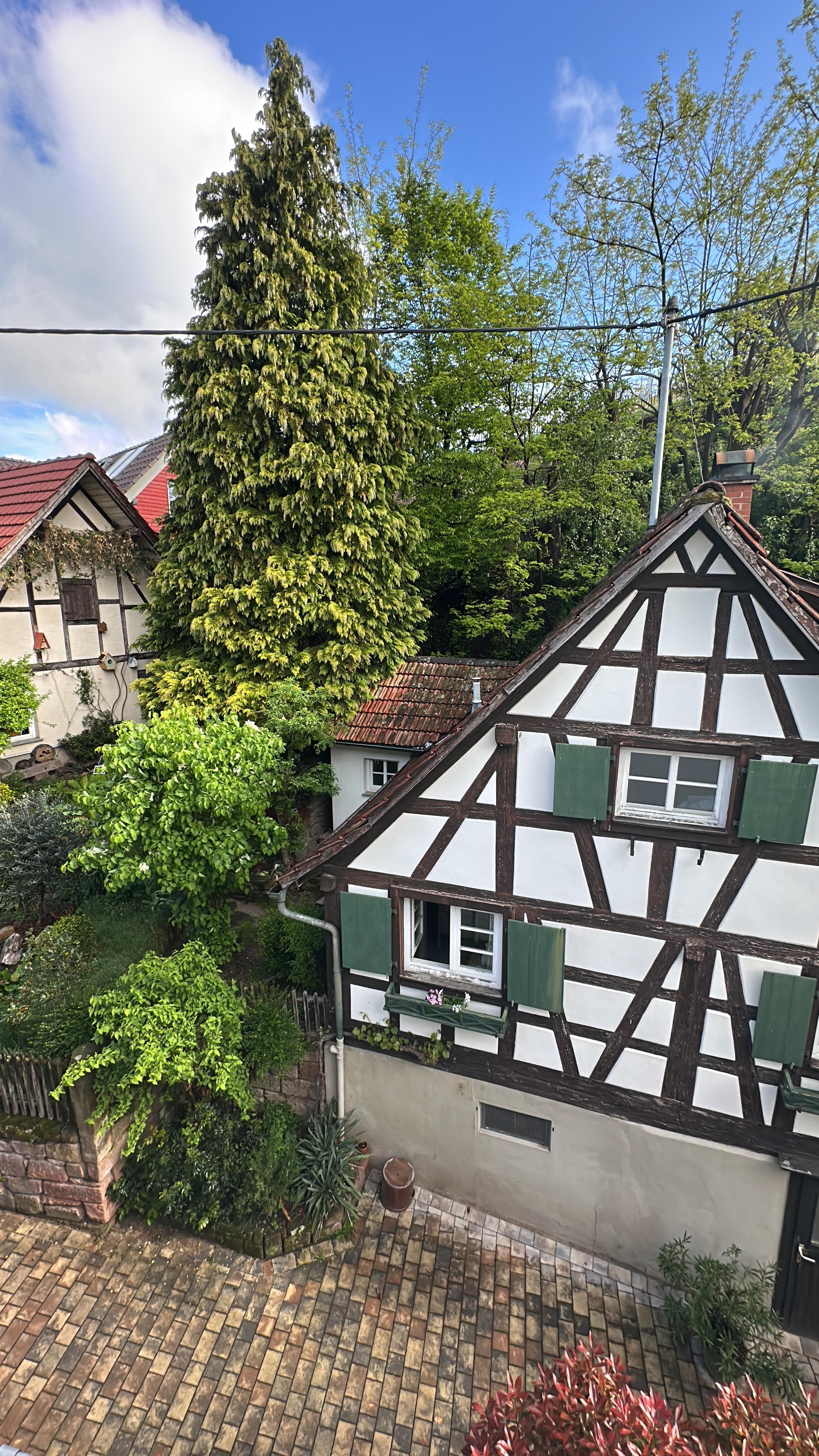 Blick aus dem Zimmer