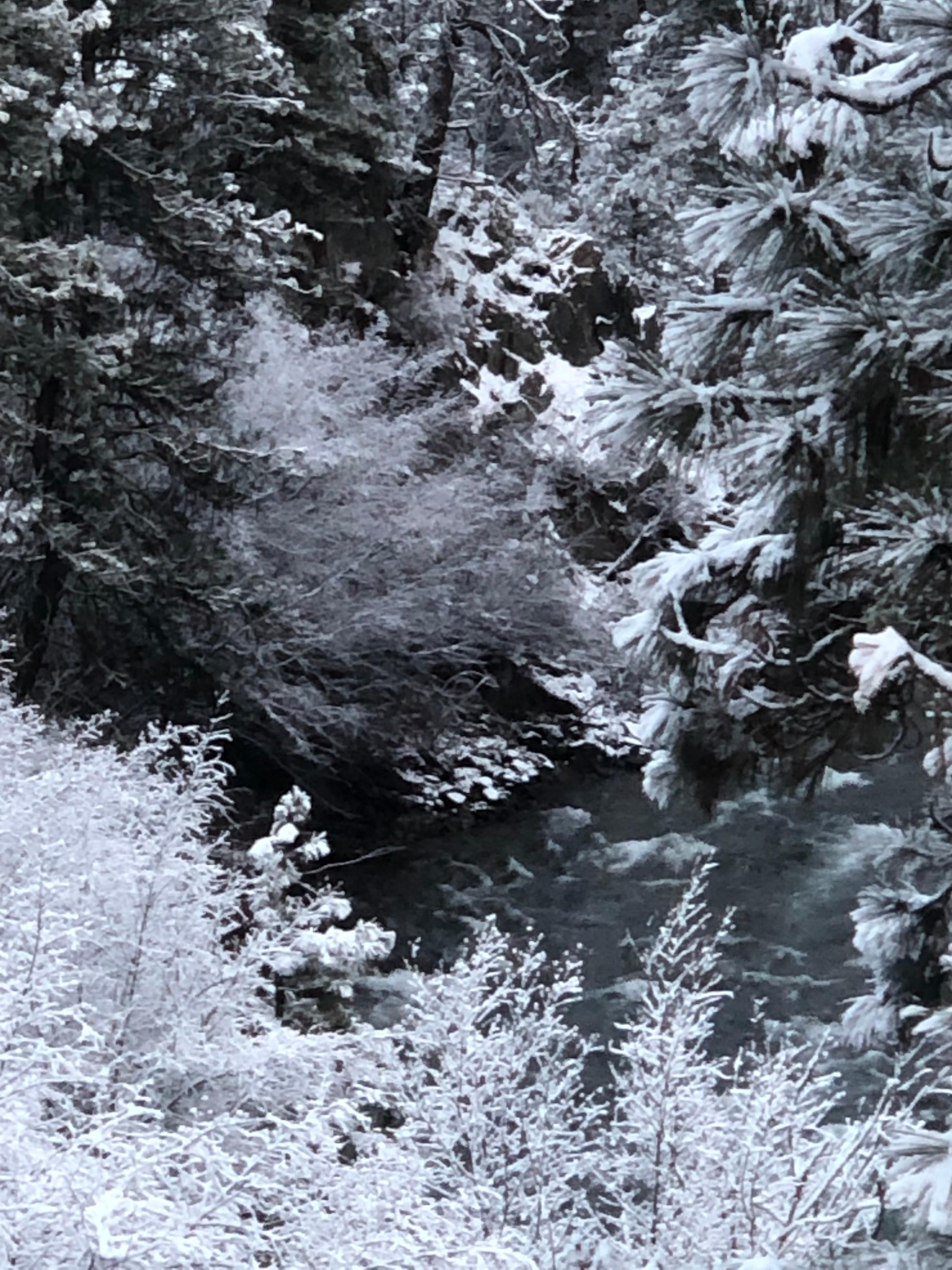 From the kitchen table window view.