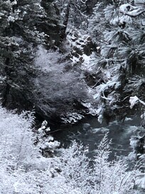 From the kitchen table window view.