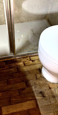 Water stains and mold in bathroom flooring