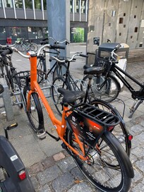 Rental bike stand
