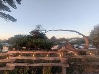 Yard view