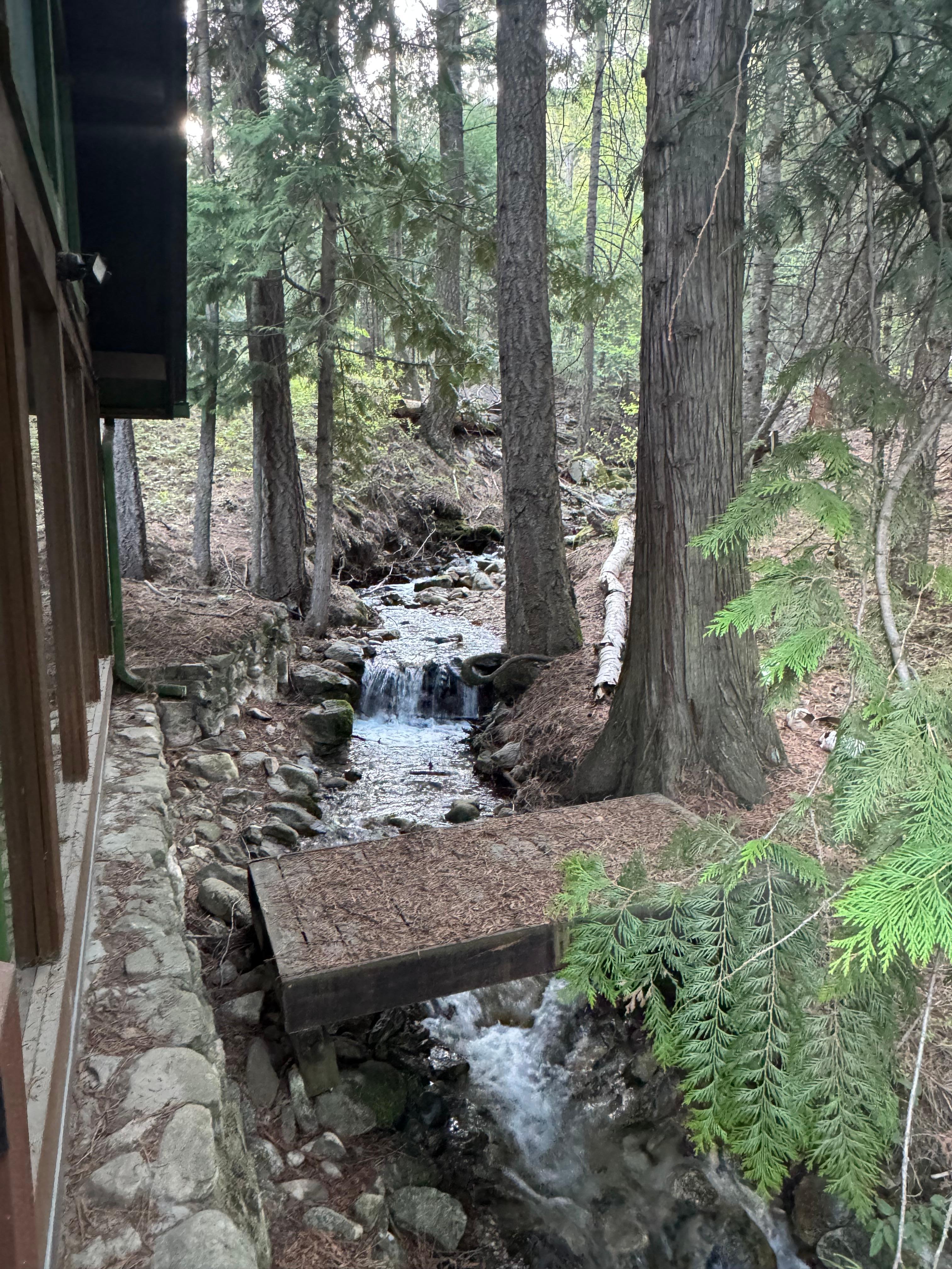 The creek next to the cabin