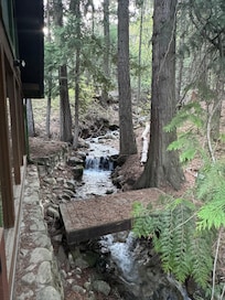 The creek next to the cabin