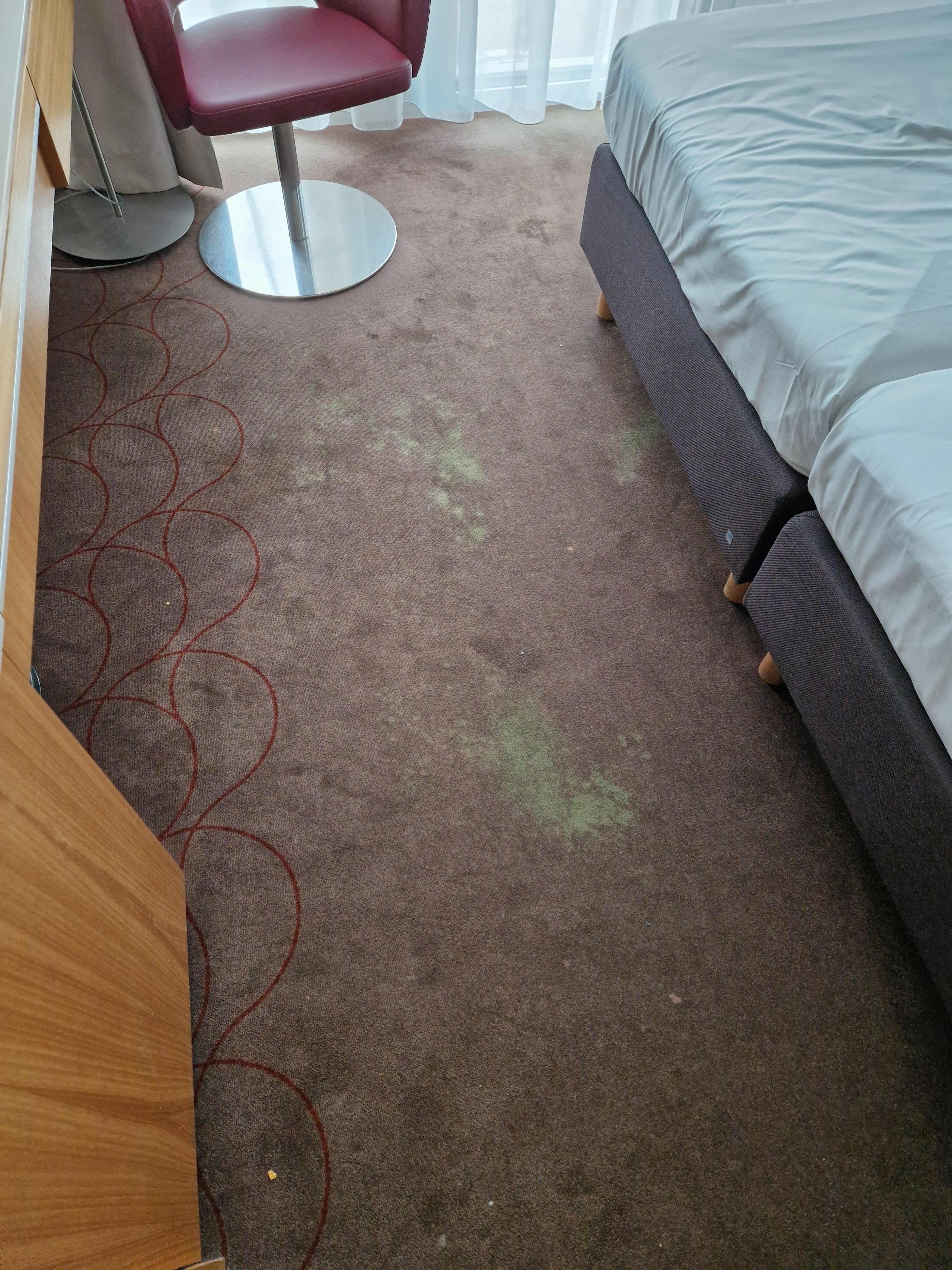 Teppichboden Flecken Zimmer (Flurteppich ebenfalls verdreckt)