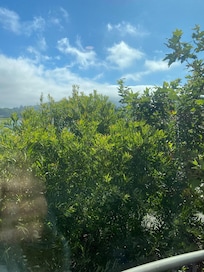 View from balcony