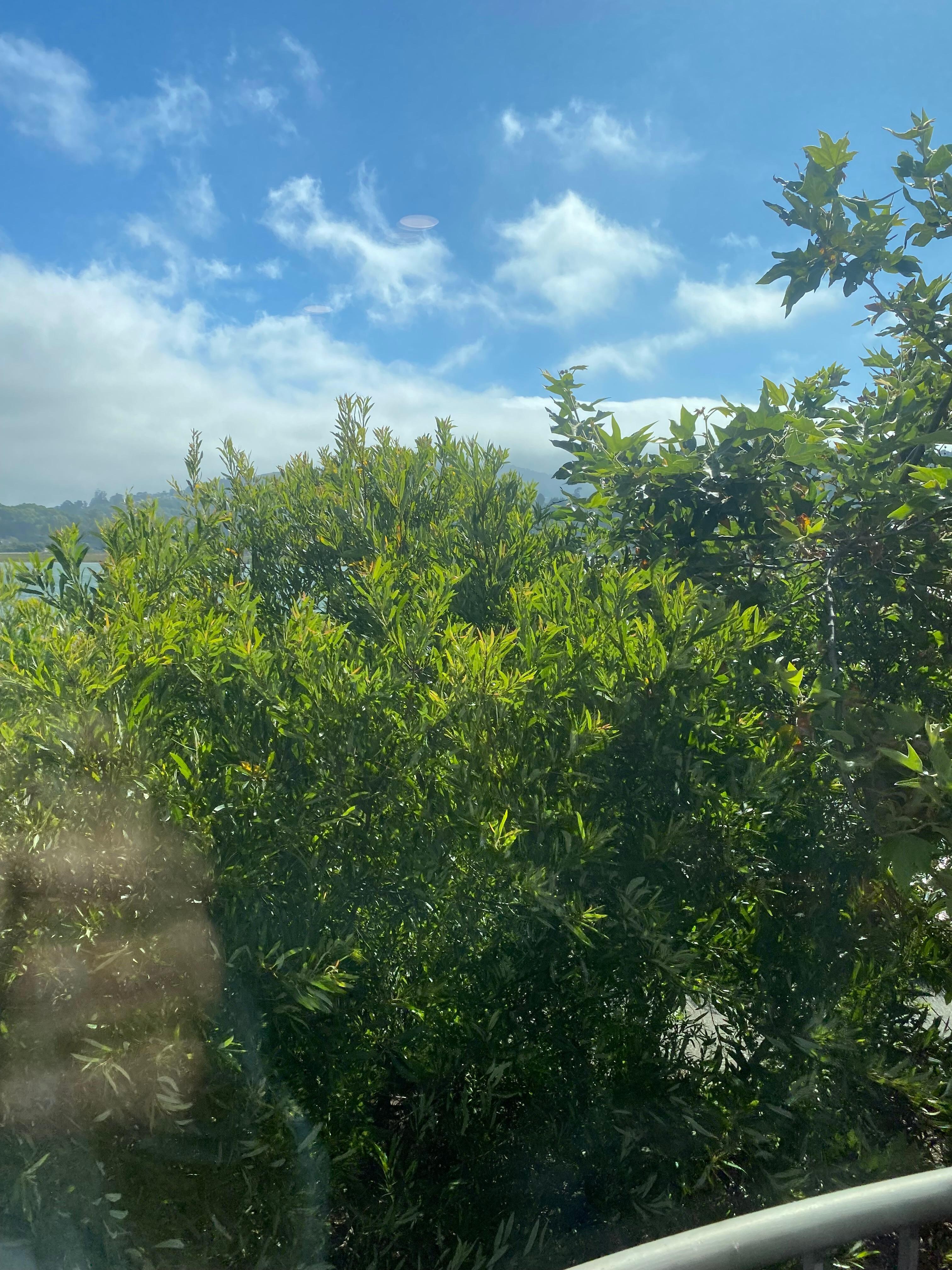 View from balcony 