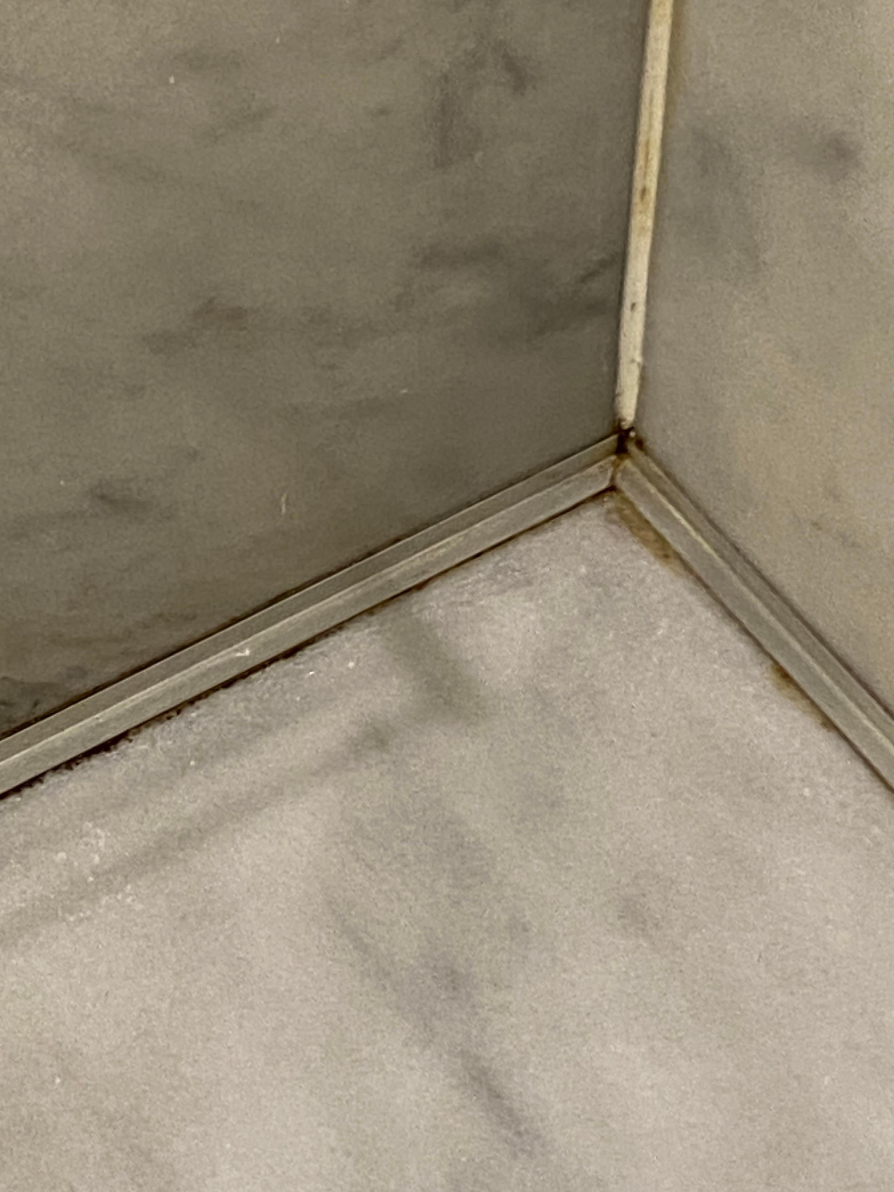 Shower edges needs a good scrub