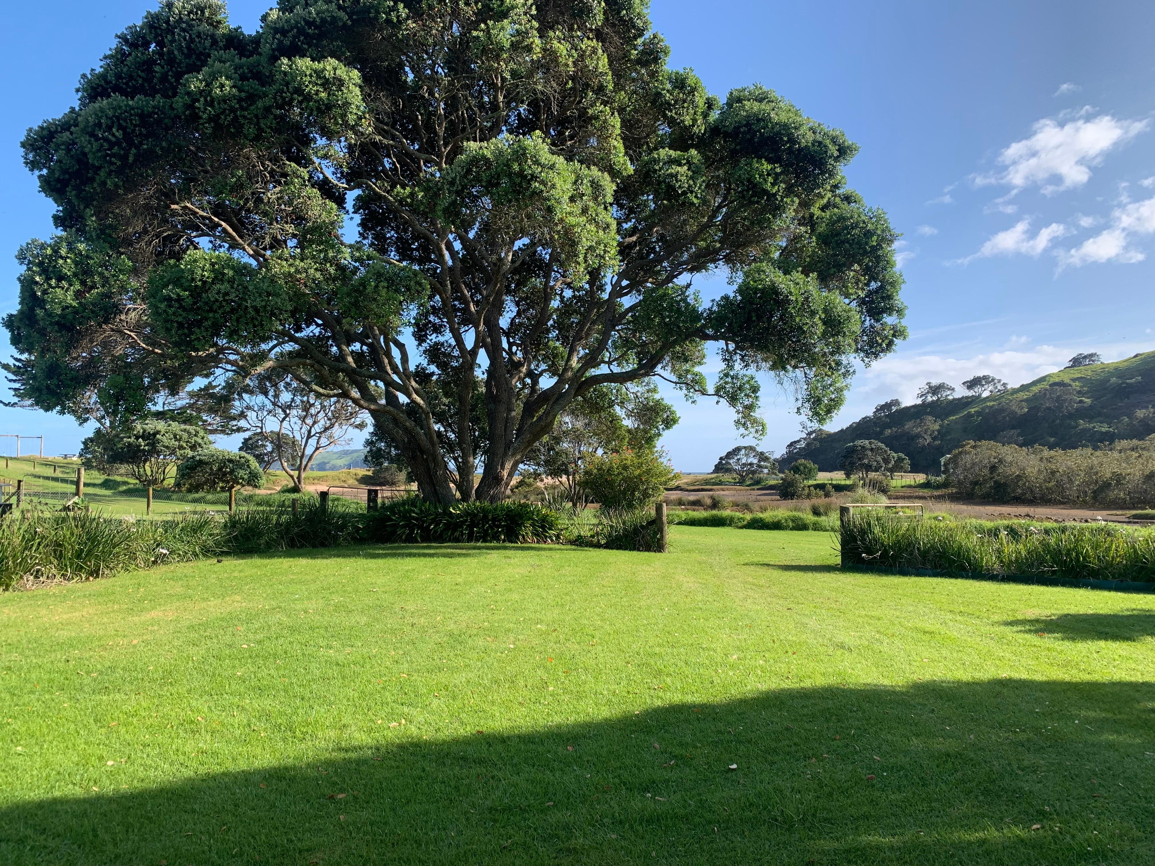 The estuary from the cottage 