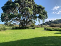 The estuary from the cottage