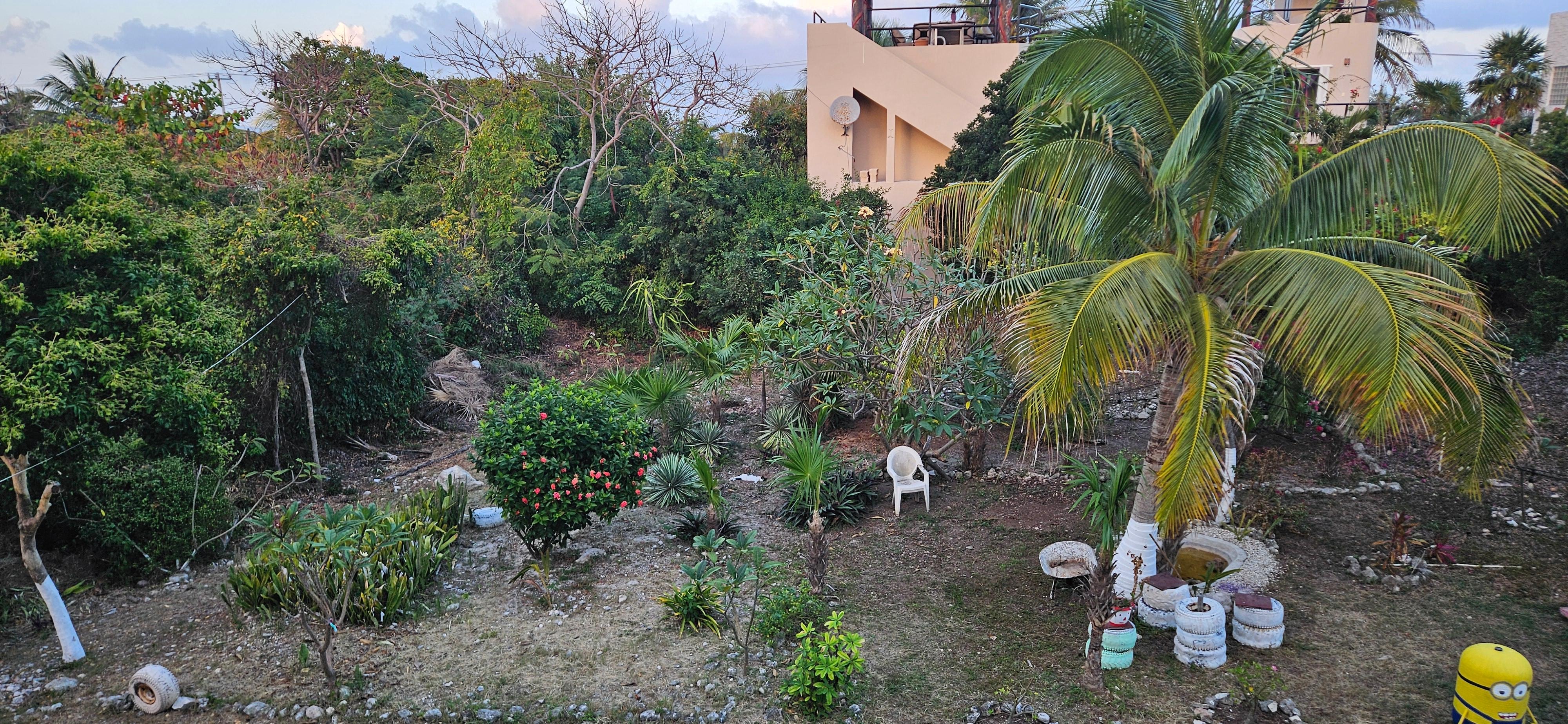 The lovely backyard view from our balcony.  
