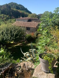 The surroundings