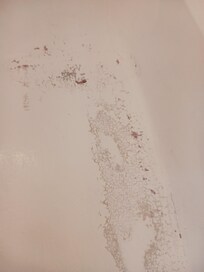 Another view of the bathtub Dirty, stained rug