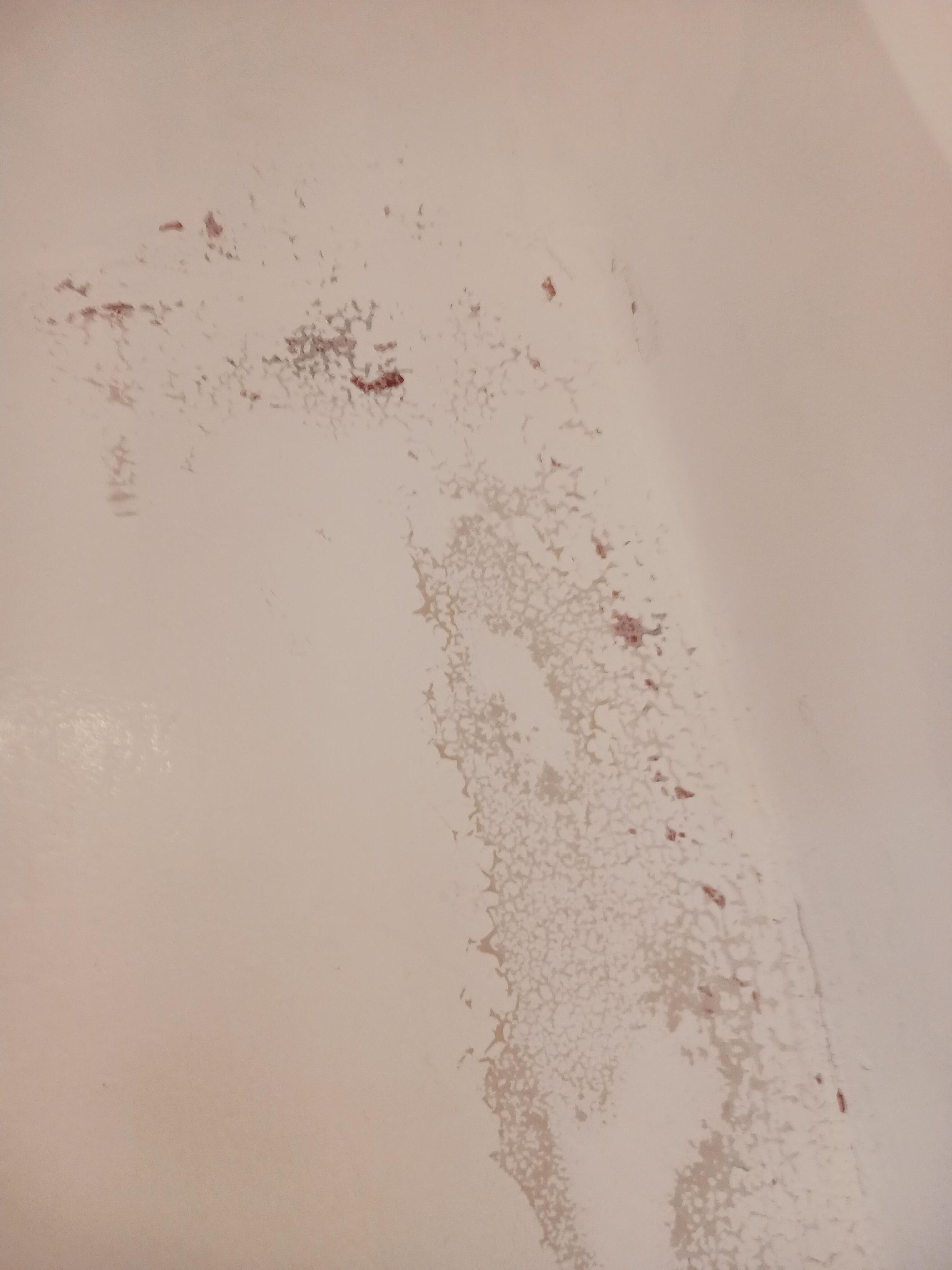 Another view of the bathtub Dirty, stained rug