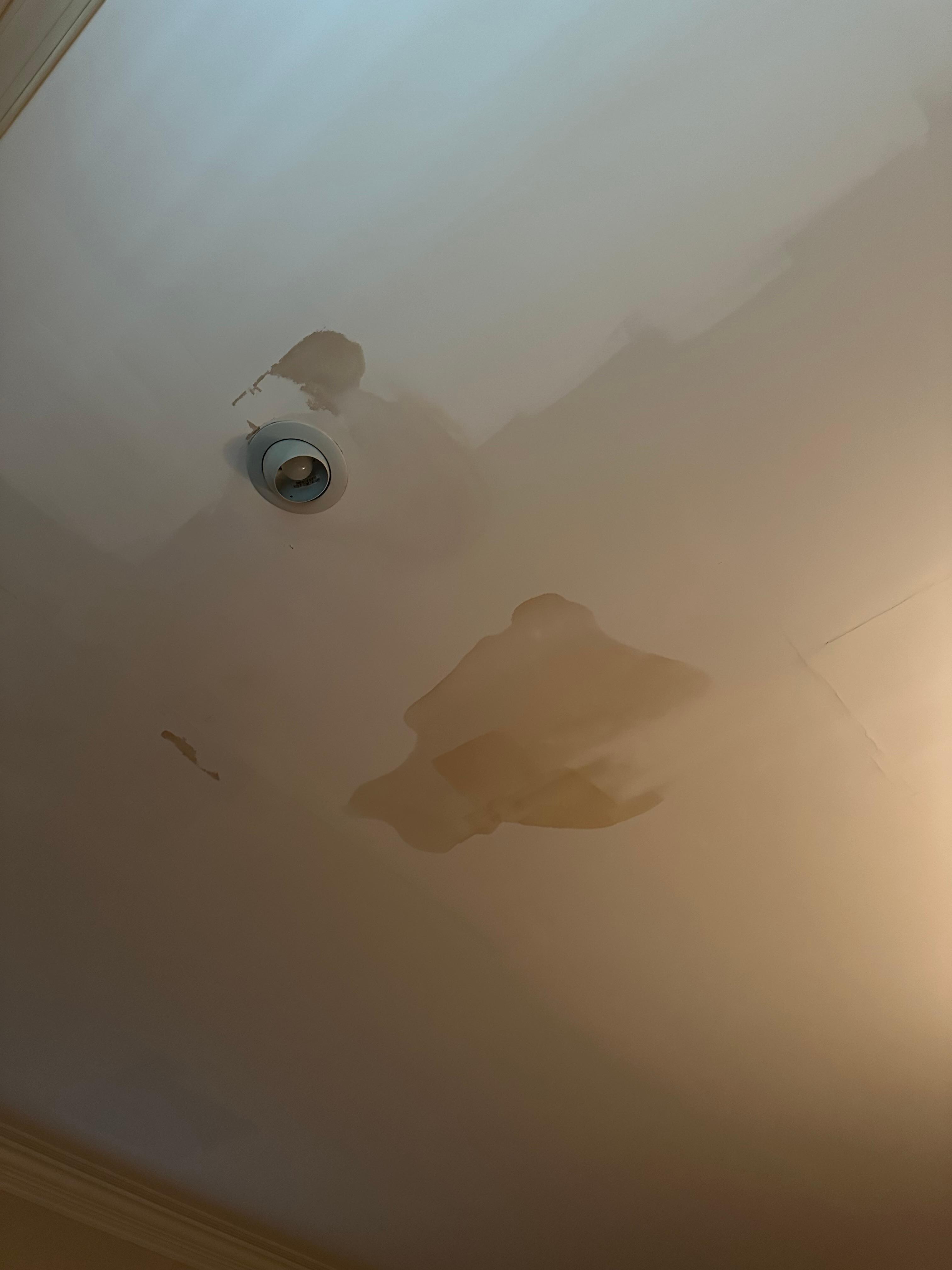 Water stains on den ceiling 